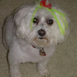 Meet your Posher, Donna